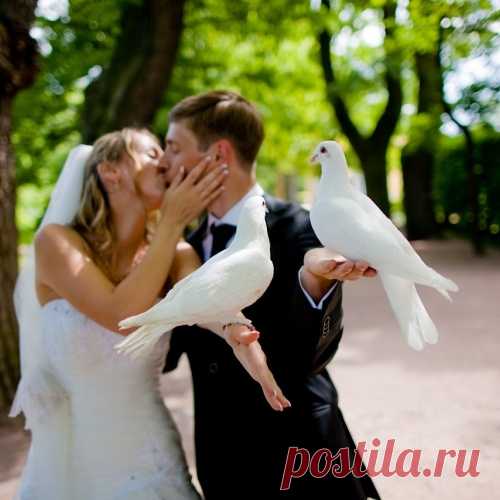 СВАДЕБНЫЕ ПРИМЕТЫ