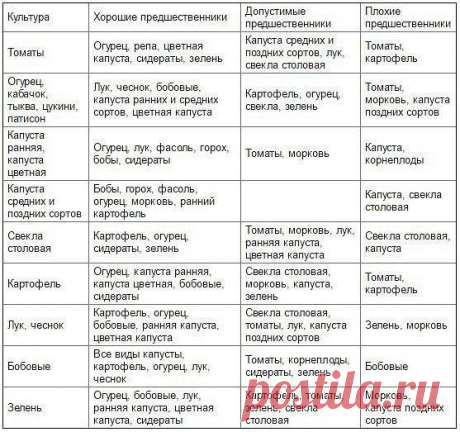 Таблица чередования посевов овощей в огороде 