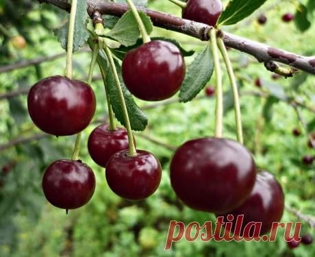 Новости - МирТесен