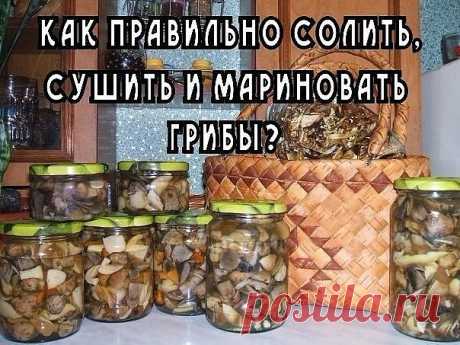 1 непрочитанный чат