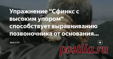Упражнение “Сфинкс с высоким упором“ способствует выравниванию позвоночника от основания черепа до копчика Правильные изгибы позвоночника формируются благодаря мышечному тонусу. Слабые мышцы спины не в состоянии поддерживать позвоночник в физиологическом положении. Образ жизни, при котором туловище постоянно находится в одной и той же позиции, неизменно приводит к нарушениям осанки.
Искривление позвоночника – наиболее частая причина болей в спине. В запущенных случаях это может вызвать даже