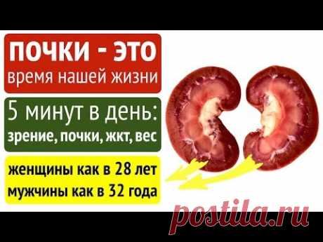 Восстановление ПОЧЕК даосскими методами. 2 нюанса и всё работает!