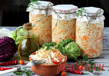 Квашеная капуста на зиму: 10 простых и очень вкусных рецептов приготовления, когда готовить - Моя дача