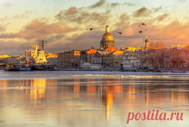 Об истинном авторе самой знаменитой песни БГ и группы «Аквариум» | записки зубного детектива | Яндекс Дзен