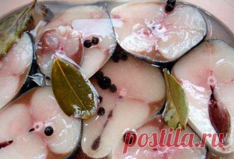 Слабосоленая скумбрия