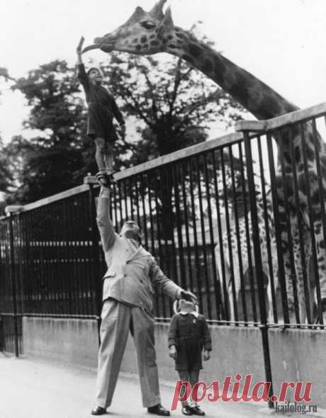 Старые фото (60 фото)