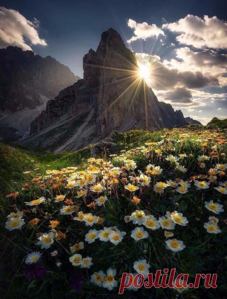 ღ Не откладывайте счастье на завтра.
Спешите жить, видеть, чувствовать, радоваться сегодня, сейчас, в эту минуту!