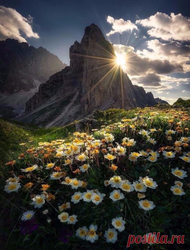 ღ Не откладывайте счастье на завтра.
Спешите жить, видеть, чувствовать, радоваться сегодня, сейчас, в эту минуту!