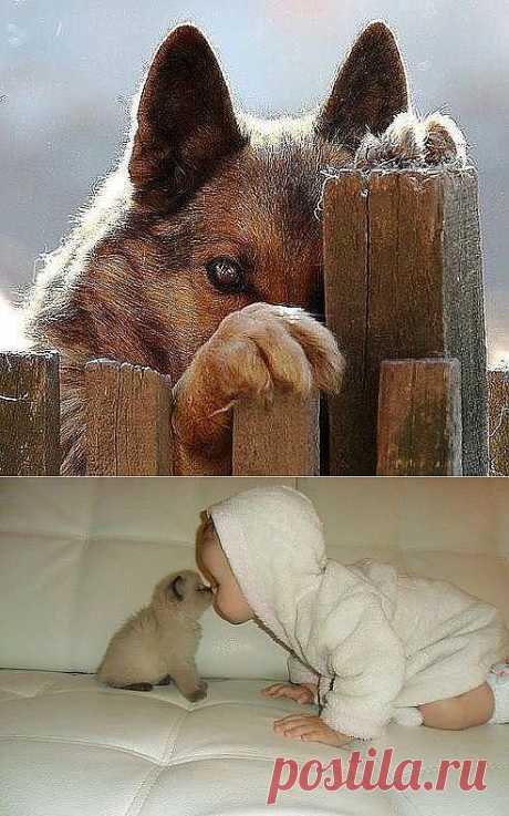 Одноклассники
