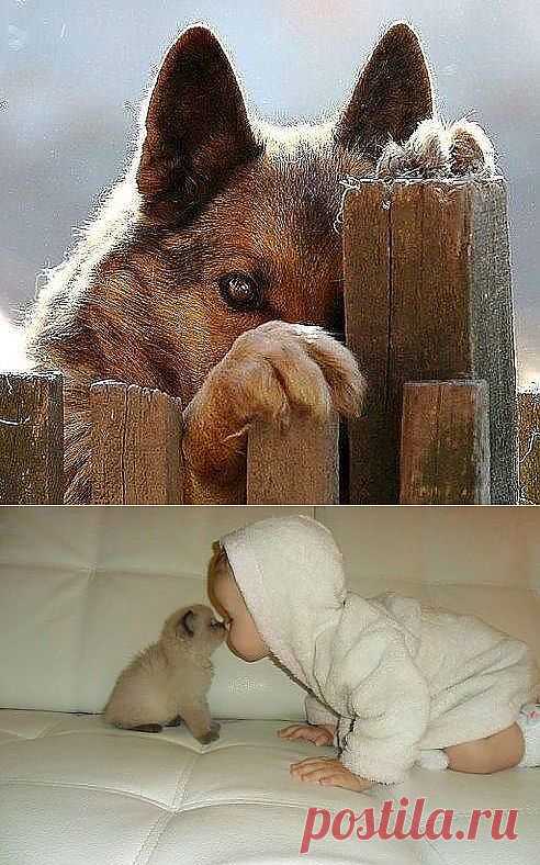 Одноклассники
