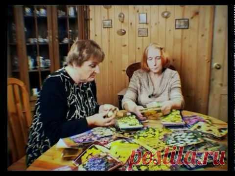 нарциссов в открытом грунте | ЧАСТНЫЙ ДОМ. САД И ОГОРОД