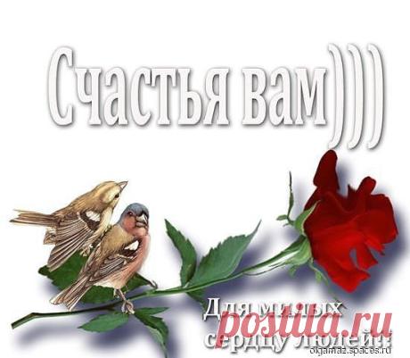 Интересные новости