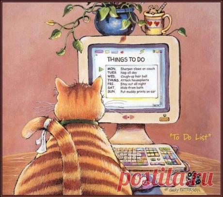 Забавные коты Гари Паттерсона