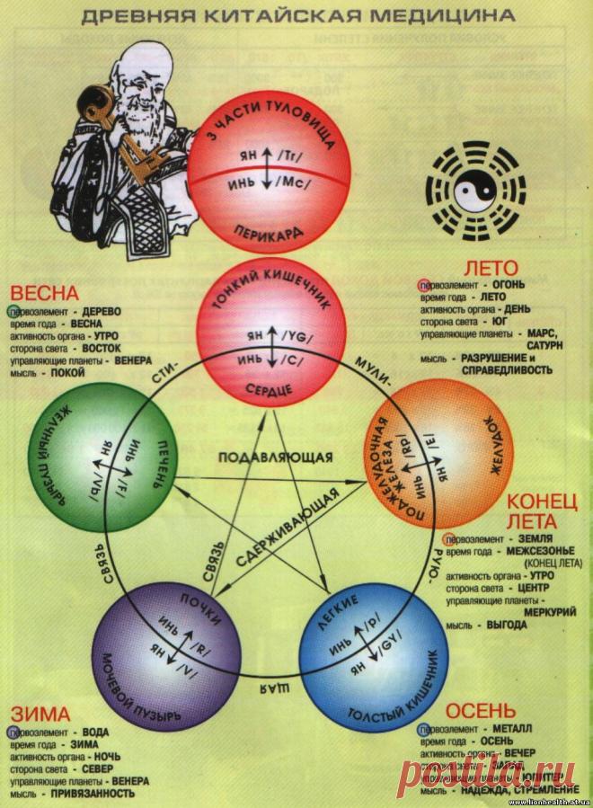 Висцеральная терапия.Даосский массаж -Ци Нейцзан Висцеральная терапия по Огулову А.Т. Техника висцерального массажа Висцеральный массаж — приятная, безболезненная процедура проводится строго по определенной схеме. Опытные врачи своими чуткими, умелыми руками обдавливают органы, следя за тем, как те реагируют на проводимые воздействия. Работа ведется в щадящем режиме, интенсивность воздействия нарастает от сеанса к сеансу, поэтому не бывает никаких осложнений. Как правило, ...