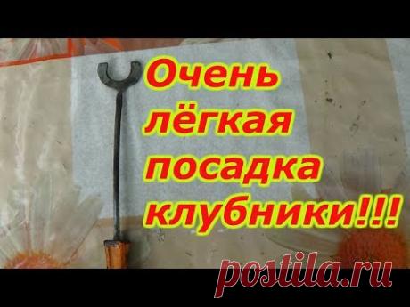 СУПЕР ПРИСПОСОБЛЕНИЕ ДЛЯ ПОСАДКИ ЗЕМЛЯНИКИ(КЛУБНИКИ)