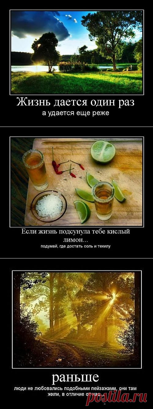 Жизнь дается один раз, а удается еще реже. Демотиваторы со смыслом.