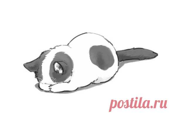Самые милые нарисованные котики