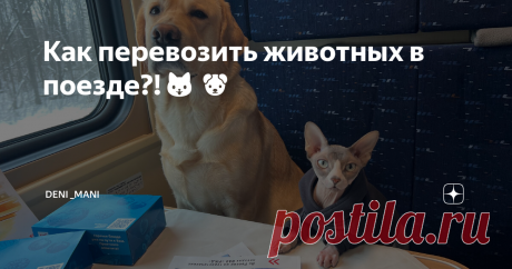 Как перевозить животных в поезде?!🐱🐶 Как только мы едем в поезде🚂сразу на нас обрушивается миллион вопросов. Поэтому я решила ответить на самые популярные вопросы, чтобы у всех кто еще не ездил в путешествие было понимание☺️ Куда ходите в туалет?🚾 С Мэни все очень просто и легко, мы всегда с собой берем его лоток. При этом он приучен ходить не в наполнитель, а на решетку, поэтому наполнитель не летит по всему купе во время фирменного загребная котов😂По-большому также ...