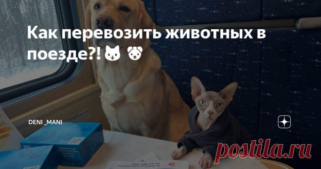 Как перевозить животных в поезде?!🐱🐶 Как только мы едем в поезде🚂сразу на нас обрушивается миллион вопросов. Поэтому я решила ответить на самые популярные вопросы, чтобы у всех кто еще не ездил в путешествие было понимание☺️ Куда ходите в туалет?🚾 С Мэни все очень просто и легко, мы всегда с собой берем его лоток. При этом он приучен ходить не в наполнитель, а на решетку, поэтому наполнитель не летит по всему купе во время фирменного загребная котов😂По-большому также ...