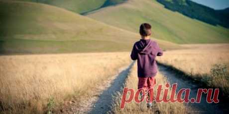 Усі батьки хочуть виростити з своїх дітей геніальних музикантів, талановитих вчених або успішних підприємців. Для цього вони докладають величезних зусиль, перетворюючи їх життя в безперервний круговорот спортивних секцій, гуртків, репетиторів та додаткових занять. Може, вистачить їх мучити?