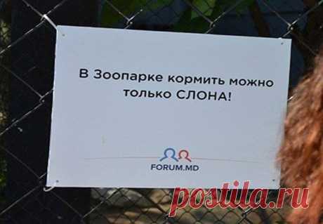 Забавные предупредительные таблички в зоопарке Кишинева