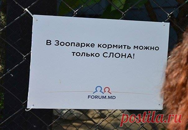 Забавные предупредительные таблички в зоопарке Кишинева