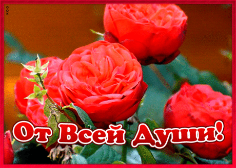 Картинка с розами от души