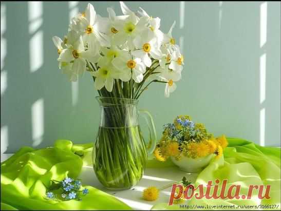 Уметь получать удовольствие от пустяков — чудесный талант.
  
Амели Нотомб