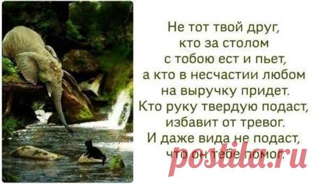 Лилия Советкина | ВКонтакте