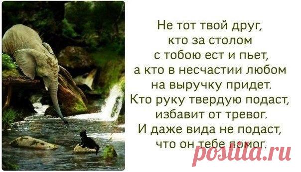 Лилия Советкина | ВКонтакте