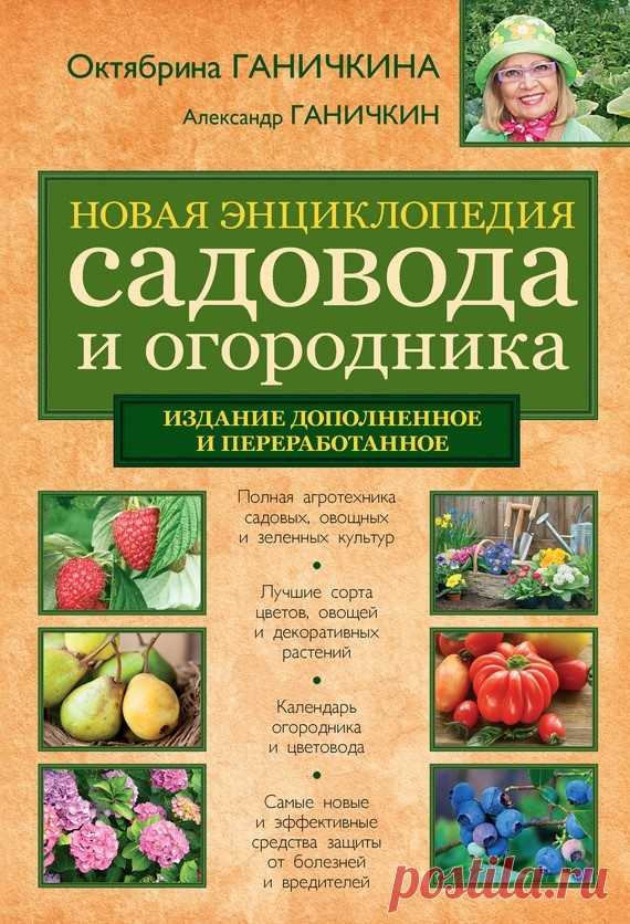 Энциклопедия садовода и огородника - Сад, огород и дача - Клуб: Сибирский двор - Powered by Club: Siberian yard