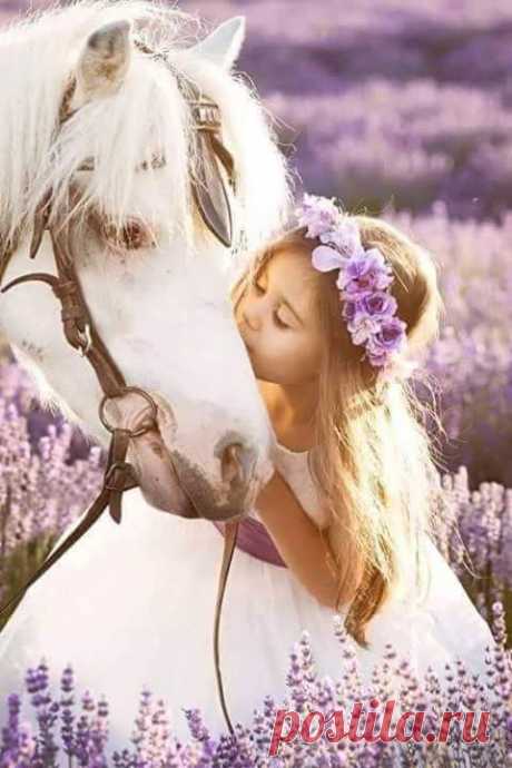 (22) Pinterest