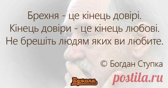 (100) Бджола - Бджола добавил(-а) новое фото.