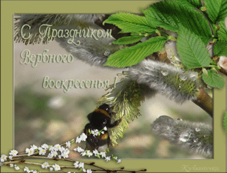 85756264_0_65dd6_6a6201b1_XL.gif (516×395)