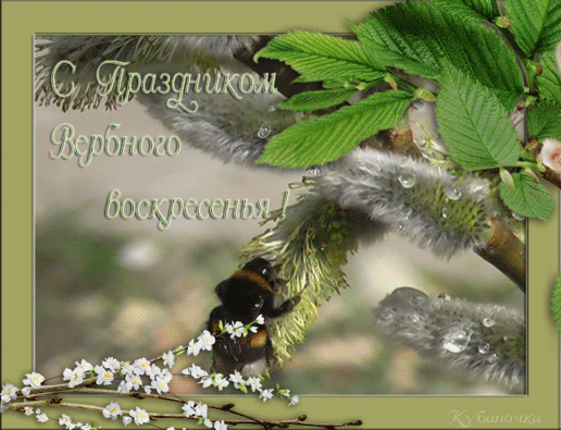 85756264_0_65dd6_6a6201b1_XL.gif (516×395)
