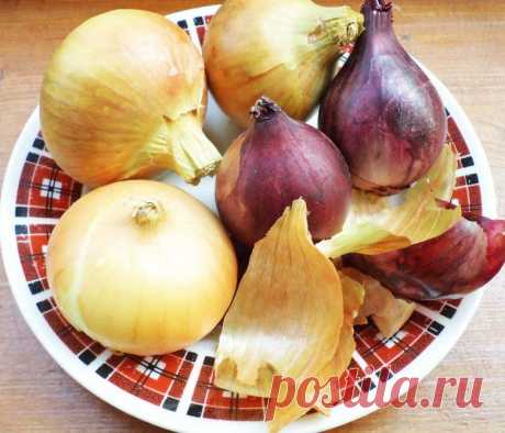 Рецепты от варикоза с луковой шелухой