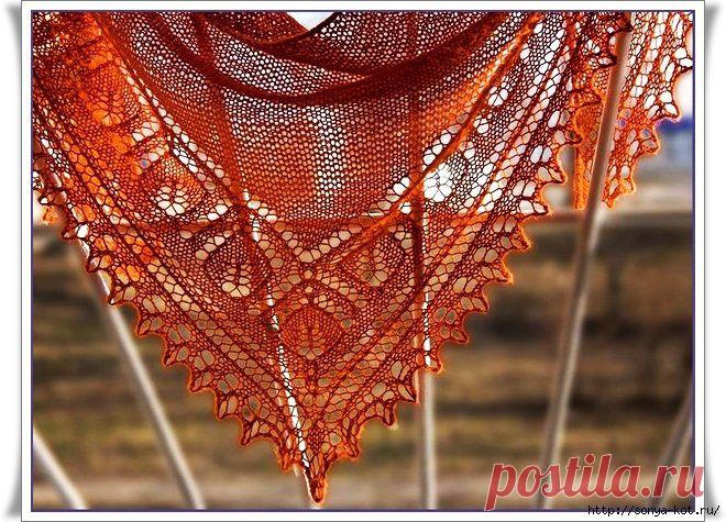 Шаль Ижица.