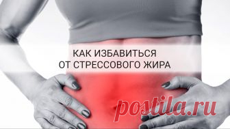 Что такое кортизоловый животик, или откуда берется стрессовый жир