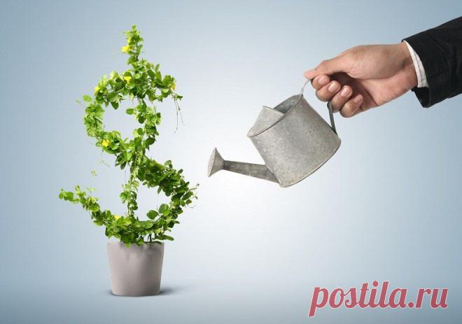 Школа трейдеров . Обучение,инвестиции, заработок