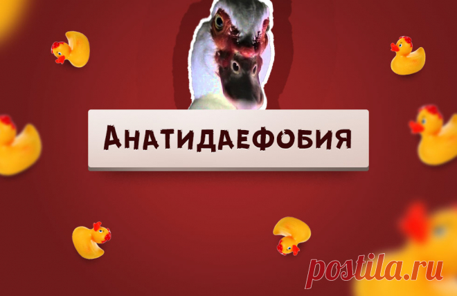 15 самых необычных и редких фобий в мире