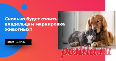 Аргументы и факты on Twitter: &quot;С января следующего года в России, возможно, начнётся обязательная маркировка домашних животных. Платить за маркировку придётся владельцам питомцев. В какую сумму это может обойтись: https://t.co/YierYfIVG9 https://t.co/nfar5yFpPz&quot; / Twitter
