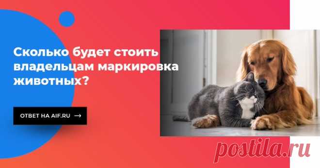 Аргументы и факты on Twitter: "С января следующего года в России, возможно, начнётся обязательная маркировка домашних животных. Платить за маркировку придётся владельцам питомцев. В какую сумму это может обойтись: https://t.co/YierYfIVG9 https://t.co/nfar5yFpPz" / Twitter