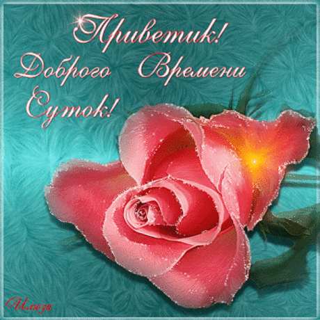 Живые фотографии – Живые картинки – Сообщество – Google+