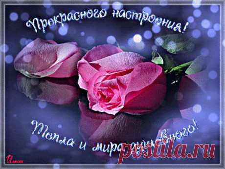 Одноклассники