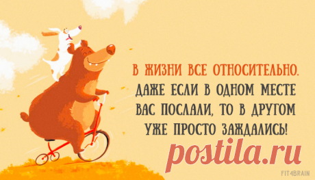 Вот это правильный оптимизм!