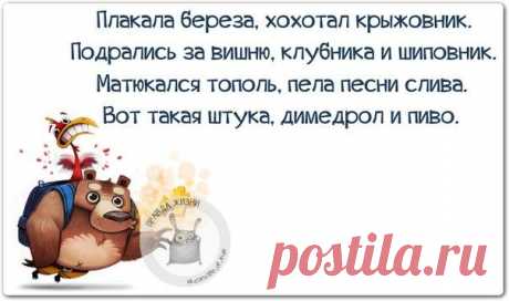 Прикольные фразочки в картинках
