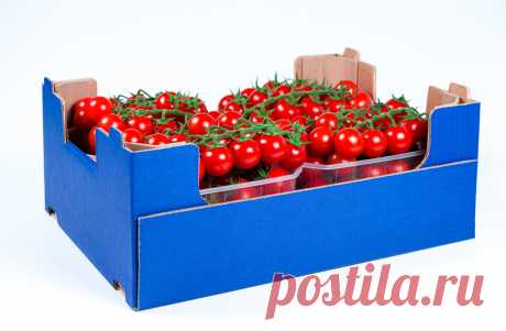 Agricola San Donato