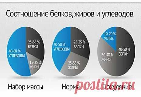 как правильно рассчитать баланс питания не в процентах, а в продуктах — Яндекс: нашлось 146 тыс. результатов