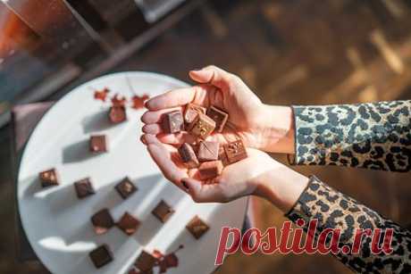 Россиян с бессонницей призвали отказаться от одного продукта. Врач-реабилитолог Сергей Агапкин призвал россиян с бессонницей отказаться от одного продукта. В эфире программы «О самом главном» на канале «Россия 1» он посоветовал не употреблять шоколад перед сном. «Теобромин, который содержится в шоколаде, обладает психостимулирующим действием», — заявил он.