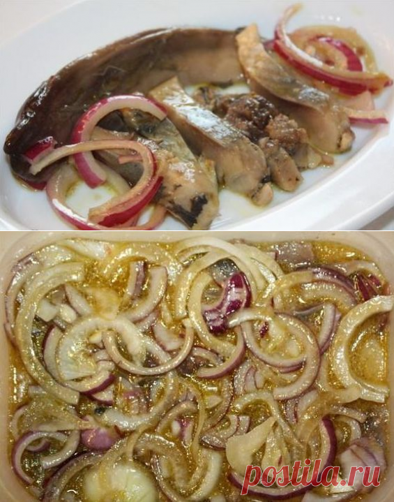 Селёдка под горчичный соусом